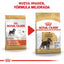 Royal Canin Perro Schnauzer Miniatura Adulto 4.5 kg