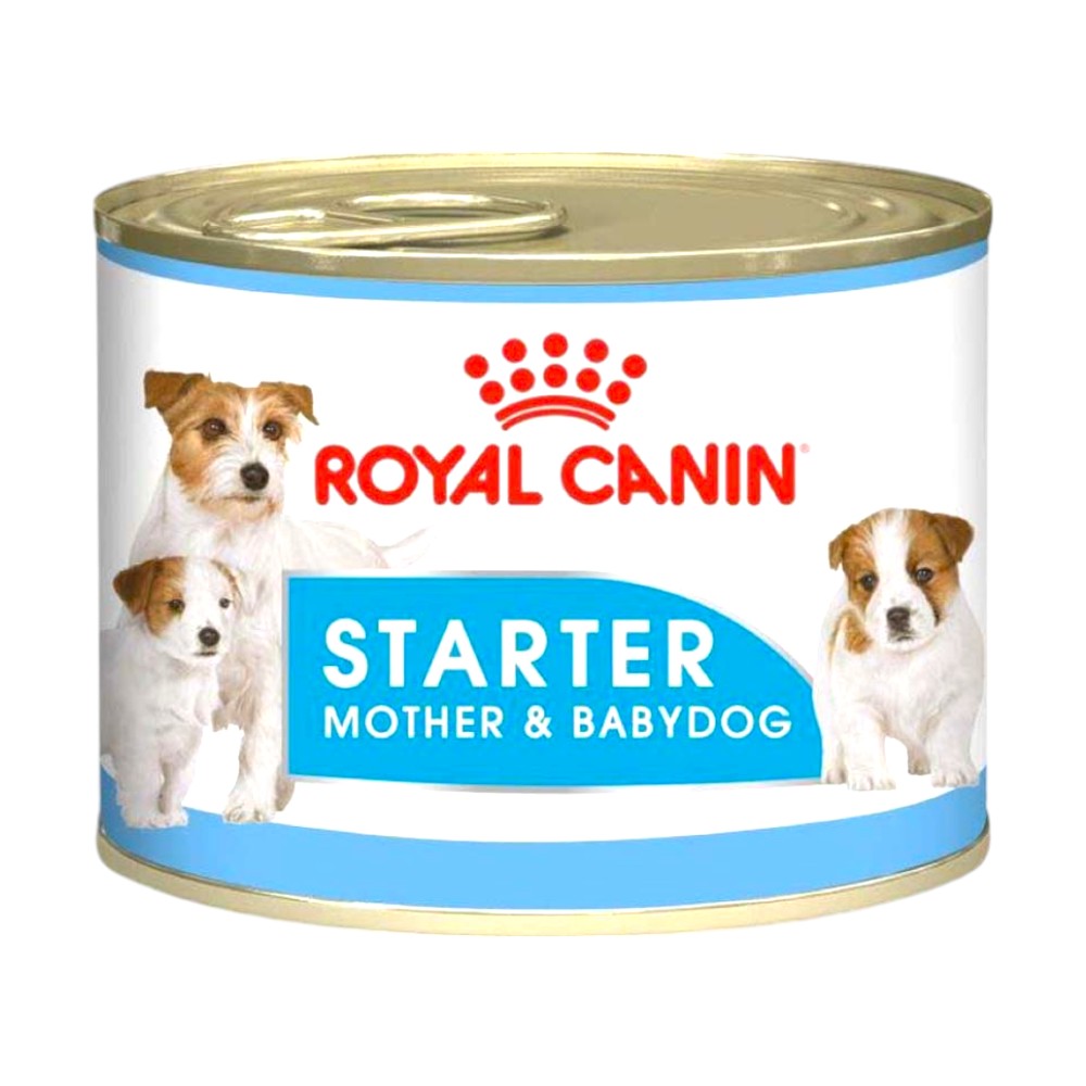 Lata Royal Canin Starter Mother & Babydog Mousse 145 gr