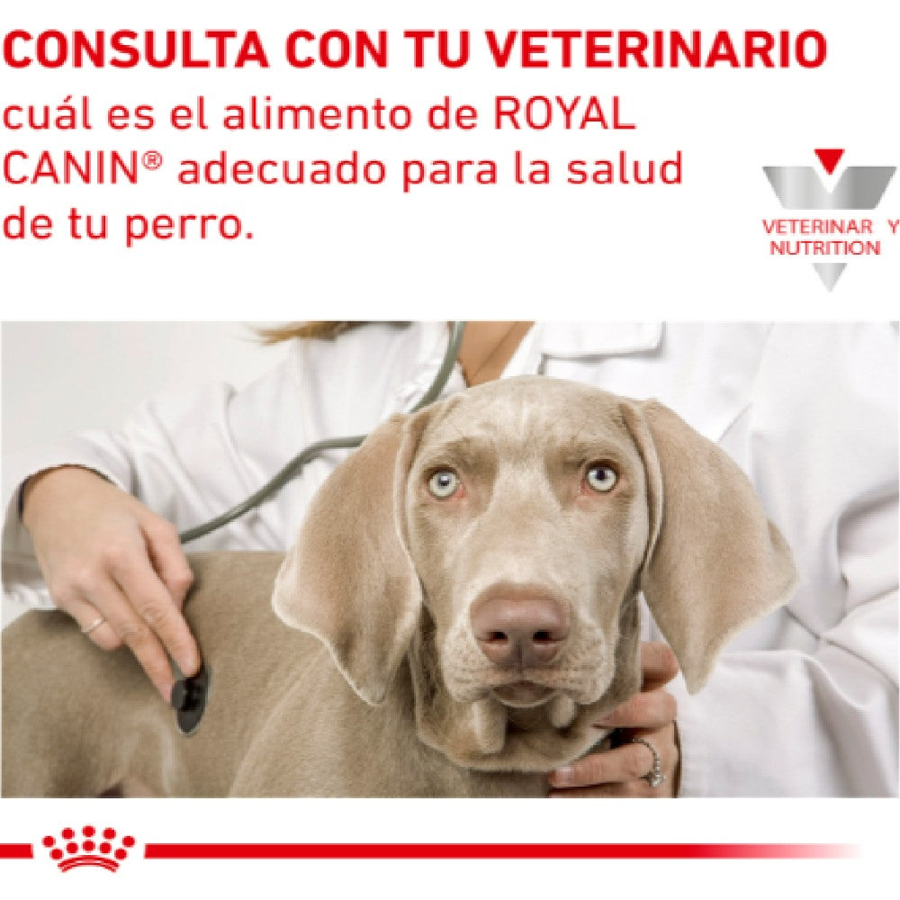 12 Latas Royal Canin Vet Renal Support D Canine 385 gr