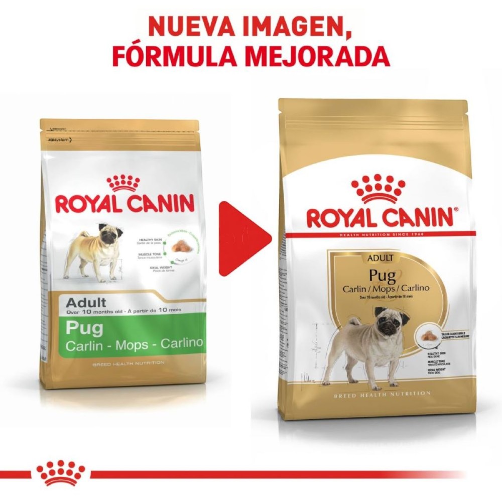 Royal Canin Perro Pug Adulto 4.5 kg