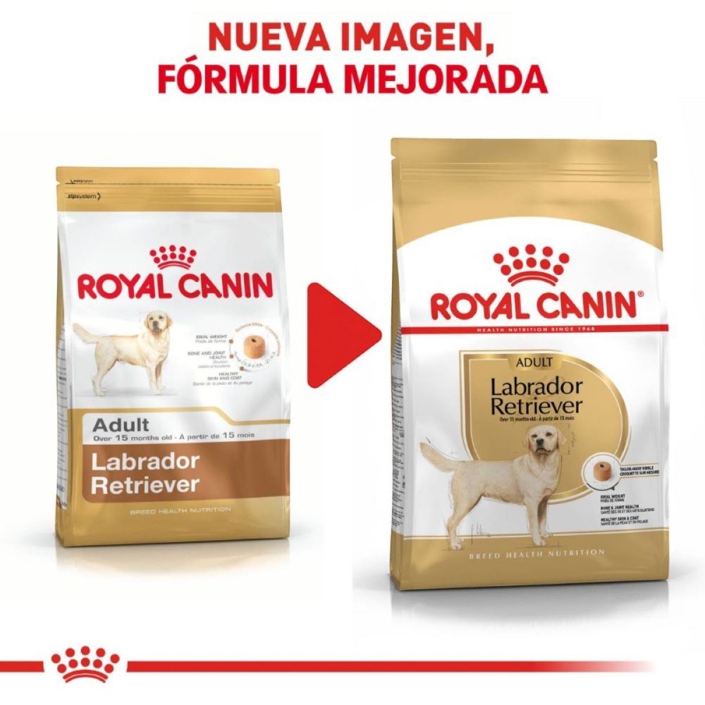 Royal Canin Perro Adulto Labrador Retriever 13.6 kg