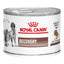 Lata Royal Canin Vet Perro y Gato Recovery 145 gr - AniMALL