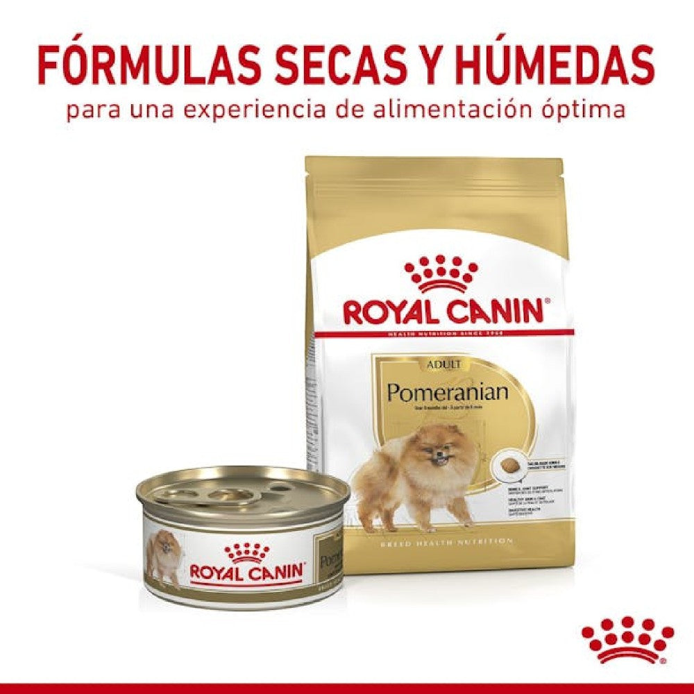 24 Latas Royal Canin Pomerania Loaf 85 gr