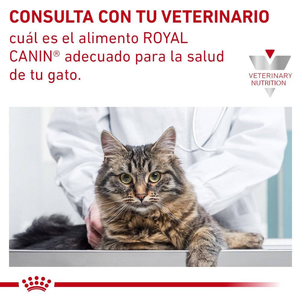 Royal Canin Vet Satiety Support Feline 1.5 Kg - AniMALL