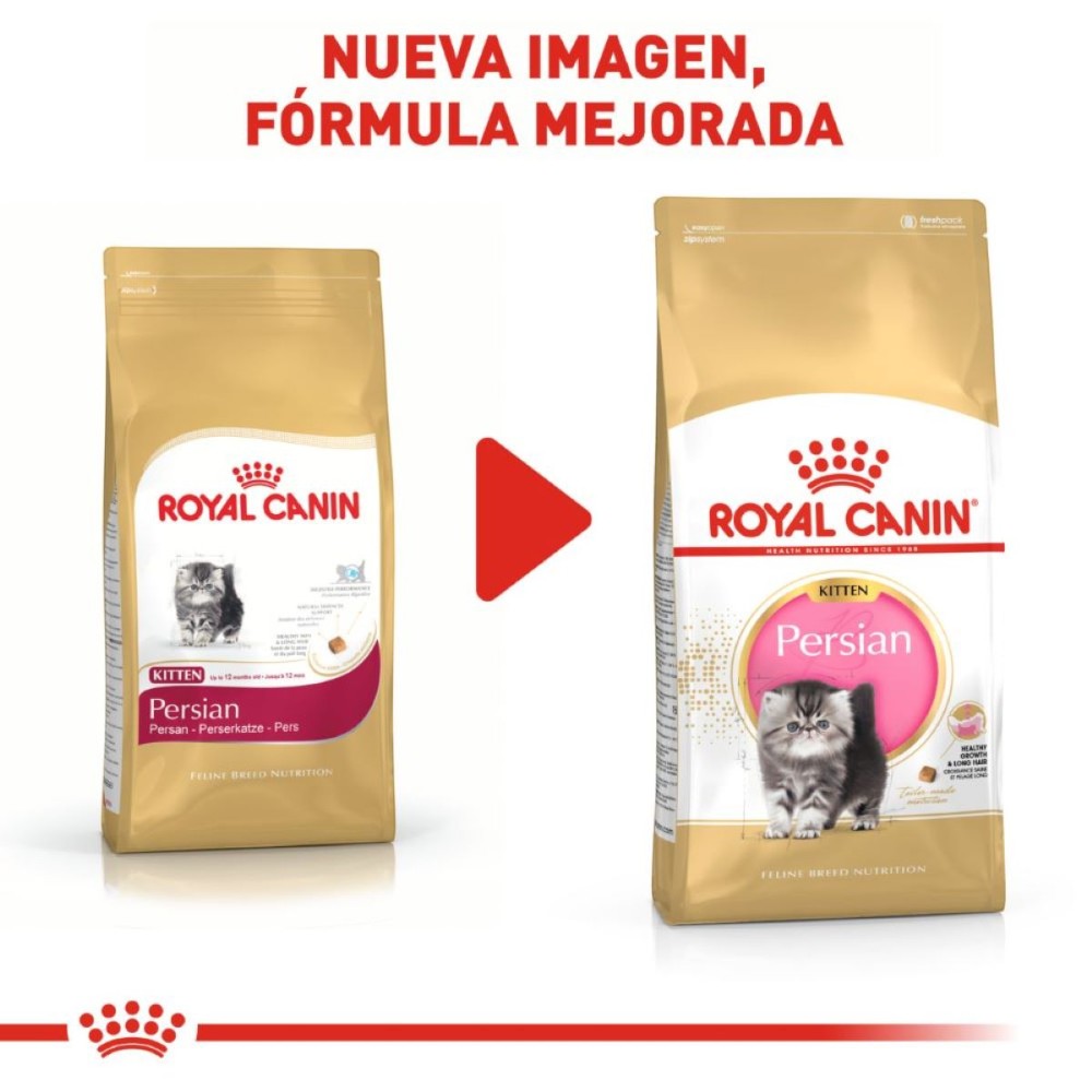 Royal Canin Persian Kitten 1.3 kg