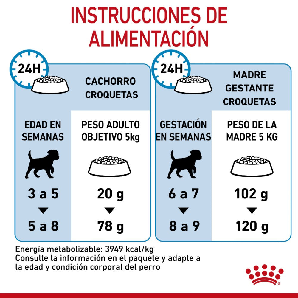 Royal Canin Small Starter Mother and Babydog 1.14Kg