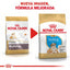 Royal Canin Alimento para Cachorro Bulldog 13.6 kg