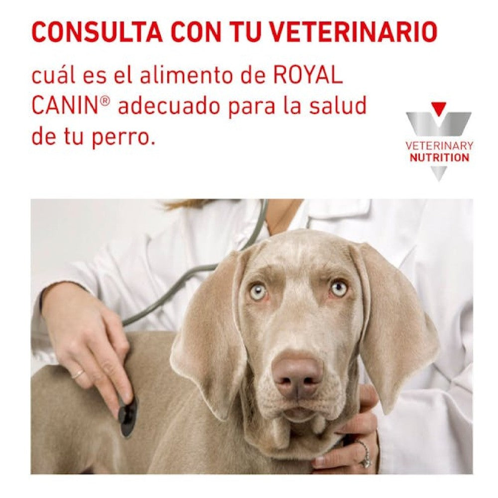 Lata Royal Canin Vet Gastrointestinal High Energy 385 gr