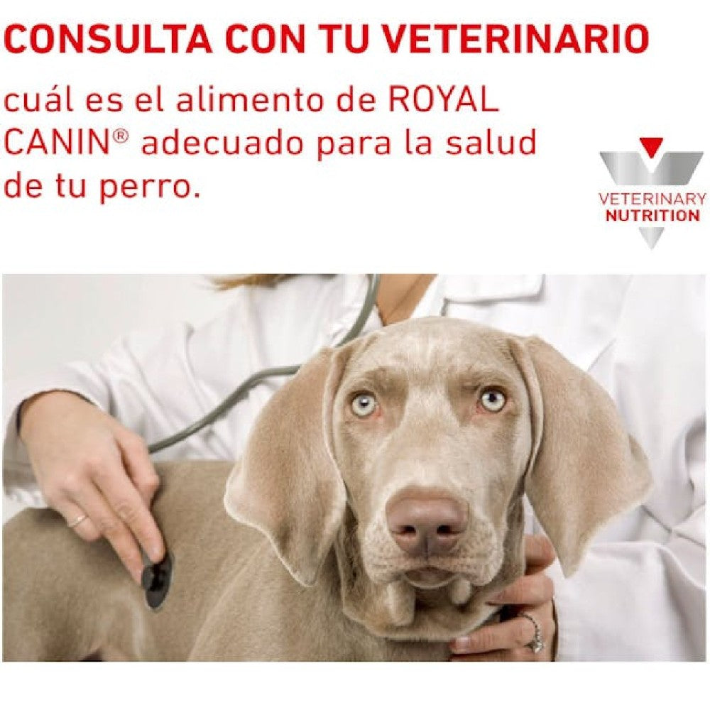 12 Latas Royal Canin Vet Gastrointestinal Low Fat Canine 385 gr