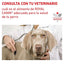 Royal Canin Vet Urinary SO Canine 11.5kg - AniMALL