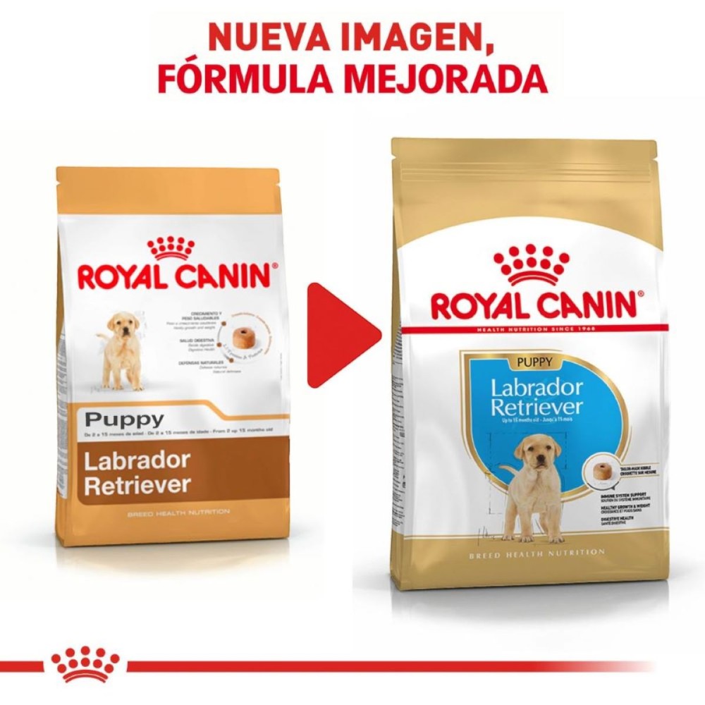 Royal Canin Cachorro Labrador Retriever 13.6 kg