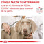 Royal Canin Vet Advanced Mobility Support 4 kg - AniMALL