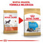 Royal Canin Perro Cachorro Mini Schnauzer 1.1 Kg.