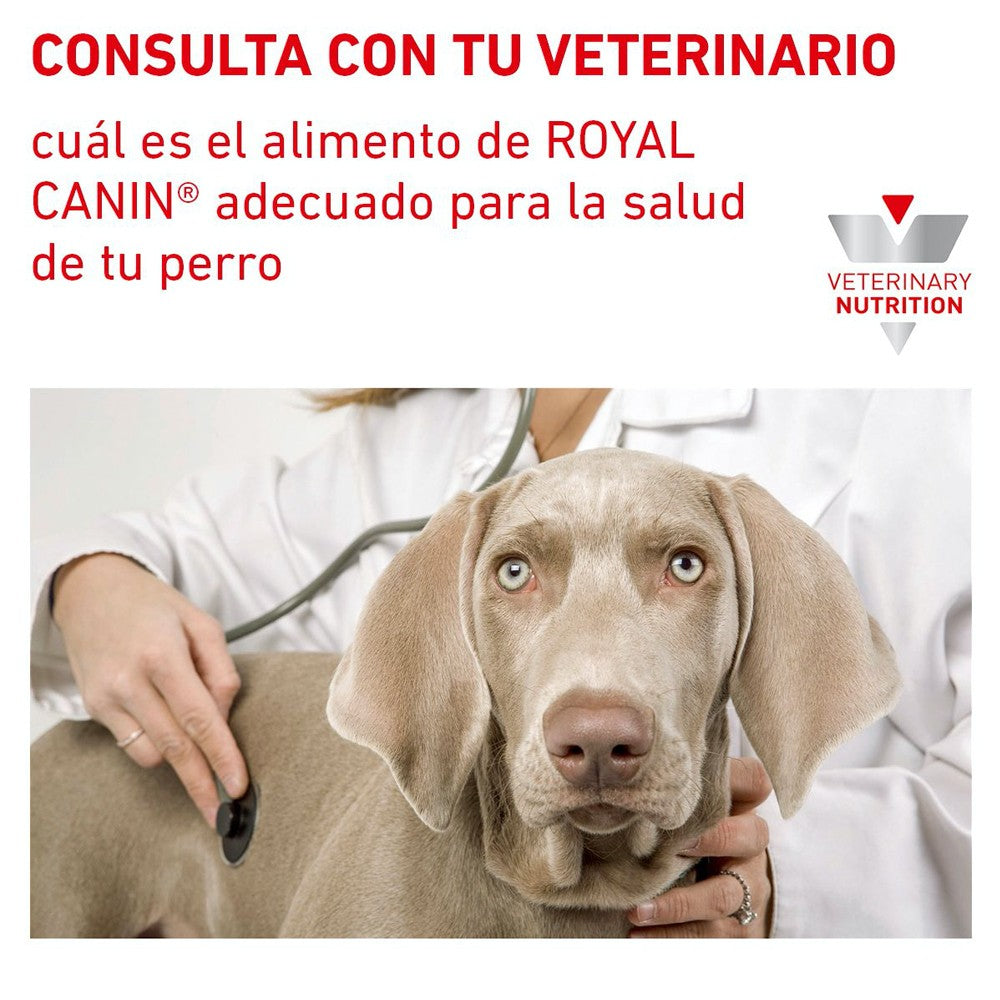 6 Latas Royal Canin Vet Urinary SO Moderate Calorie 355 gr