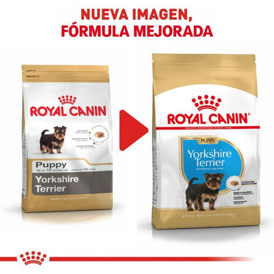 Royal Canin Alimento Seco para Perro Yorkshire Puppy 1 kg