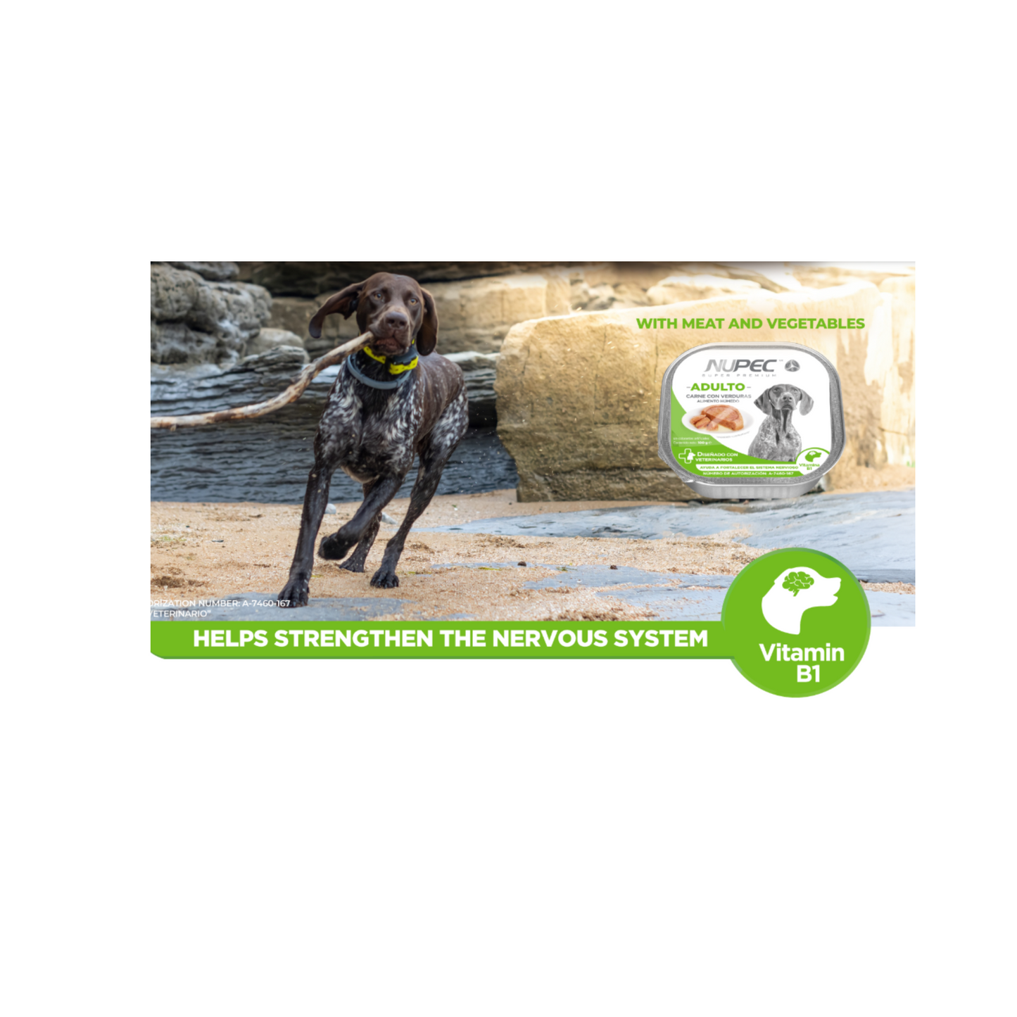 Nupec 20 Latas Alimento Húmedo para Perro Adulto 100 gr