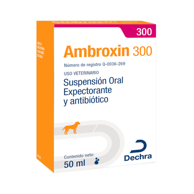 Ambroxin 300