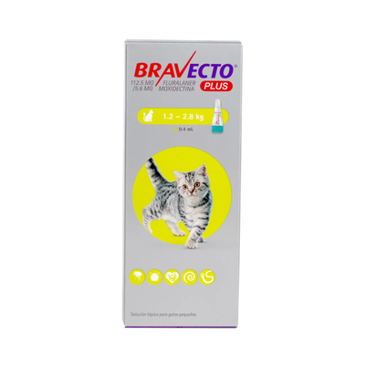 Bravecto Plus Gatos