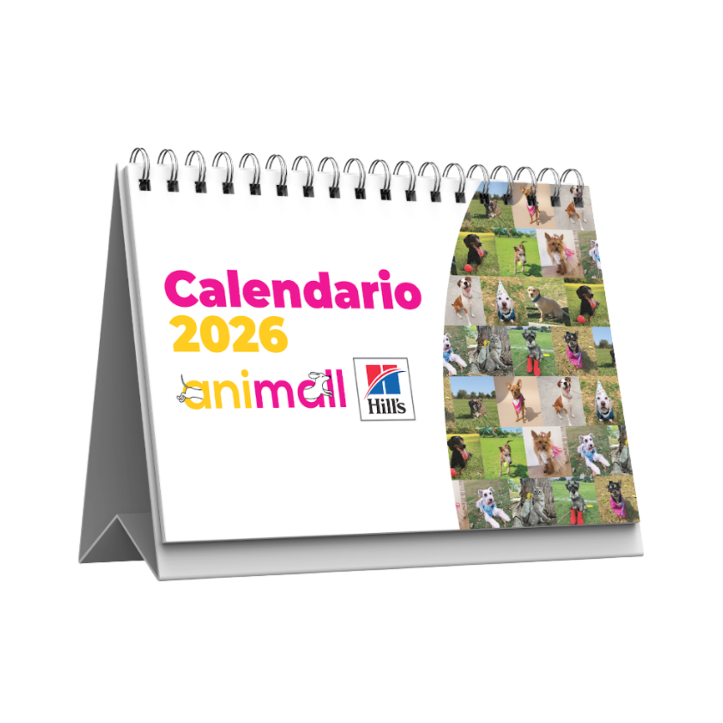 Calendario de Mascotas