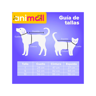 CATM Suéter de Huesos Color Azul con Gris Talla 9