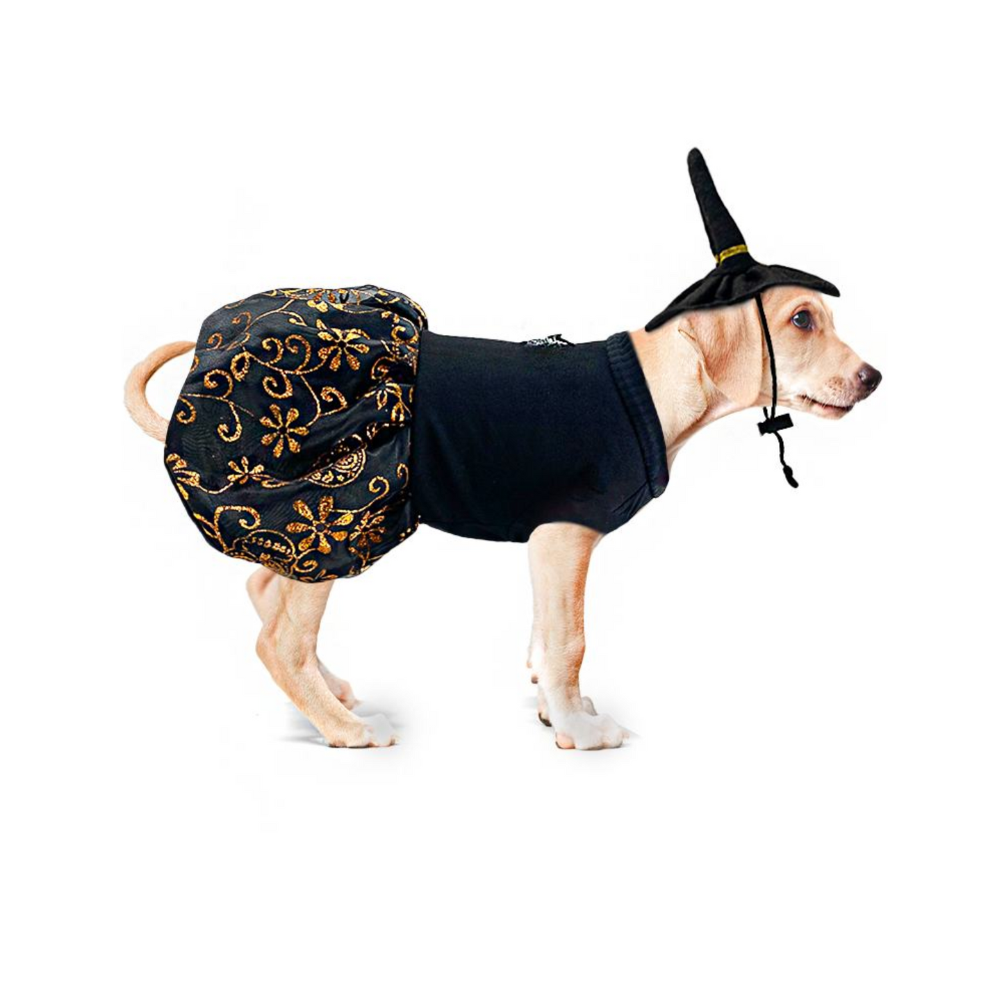 CATM Disfraz de Bruja Color Negro con Diseño de Flores Naranja para Mascota Talla 3