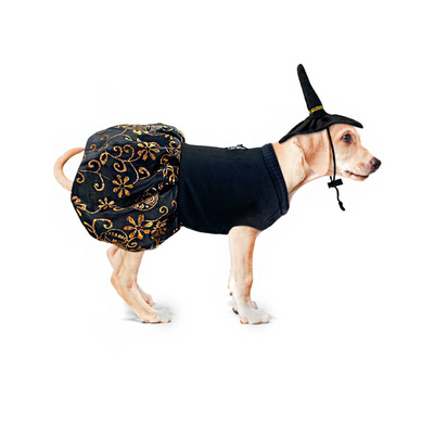 CATM Disfraz de Bruja Color Negro con Diseño de Flores Naranja para Mascota Talla 4
