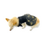 CATM Disfraz de Bruja Color Negro con Dorado para Mascota Talla 6