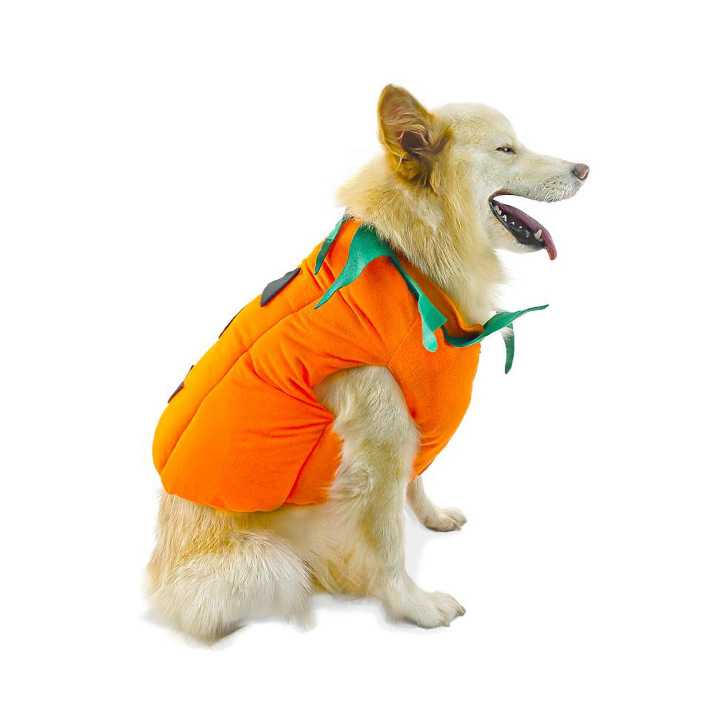 CATM Disfraz de Calabaza para Mascota Talla 4