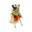 CATM Disfraz de Calabaza para Mascota Talla 4