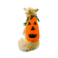 CATM Disfraz de Calabaza para Mascota Talla 4