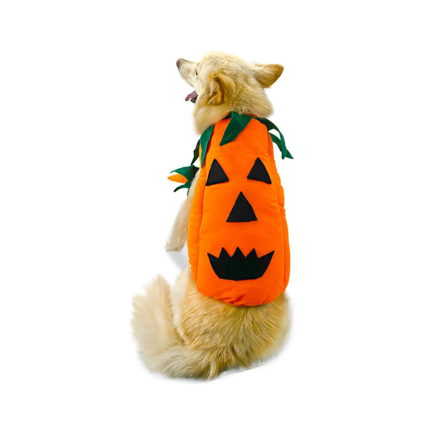 CATM Disfraz de Calabaza para Mascota Talla 4