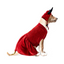 CATM Disfraz de Diablo Hembra para Mascota Talla 4