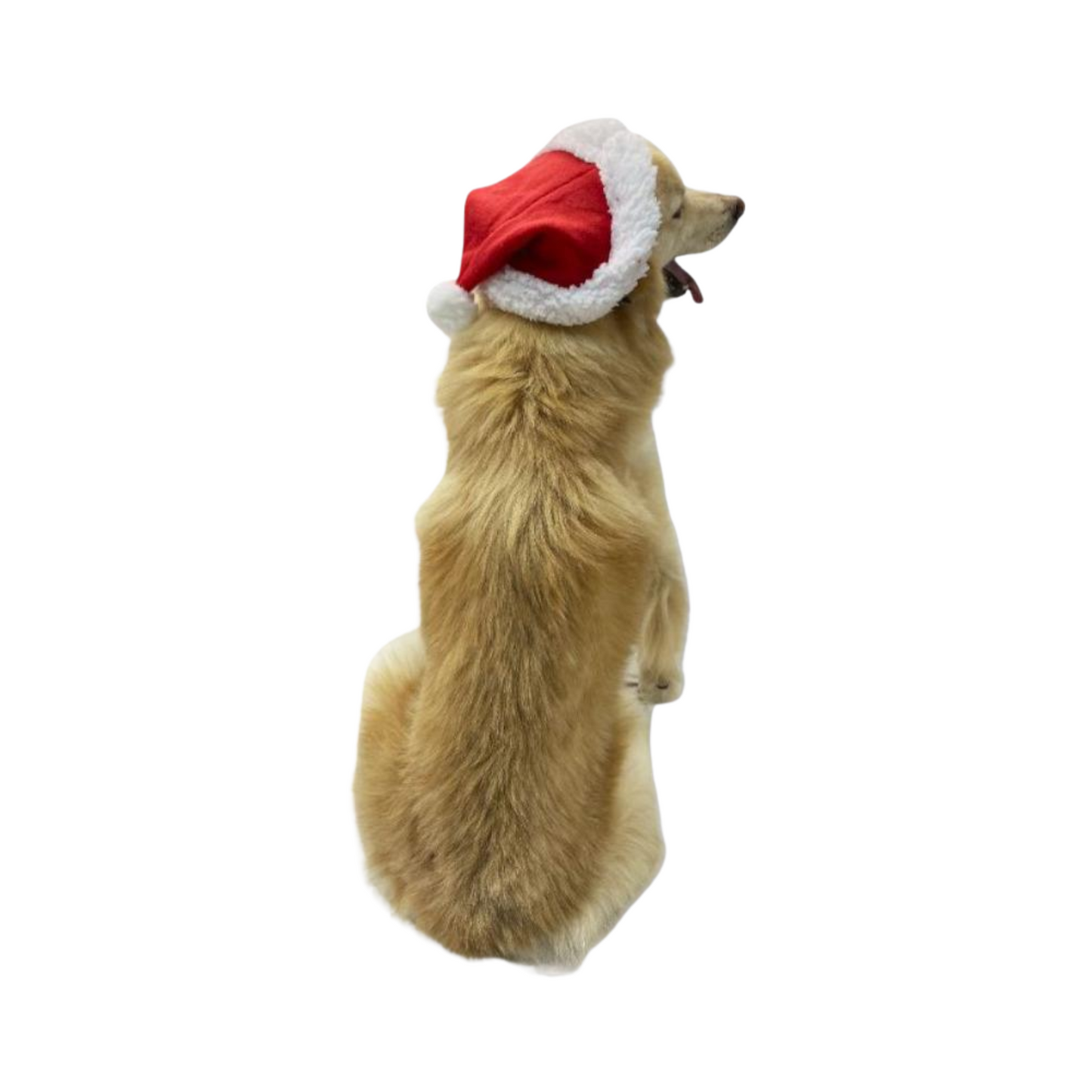 CATM Gorro Navideño Grande Color Rojo