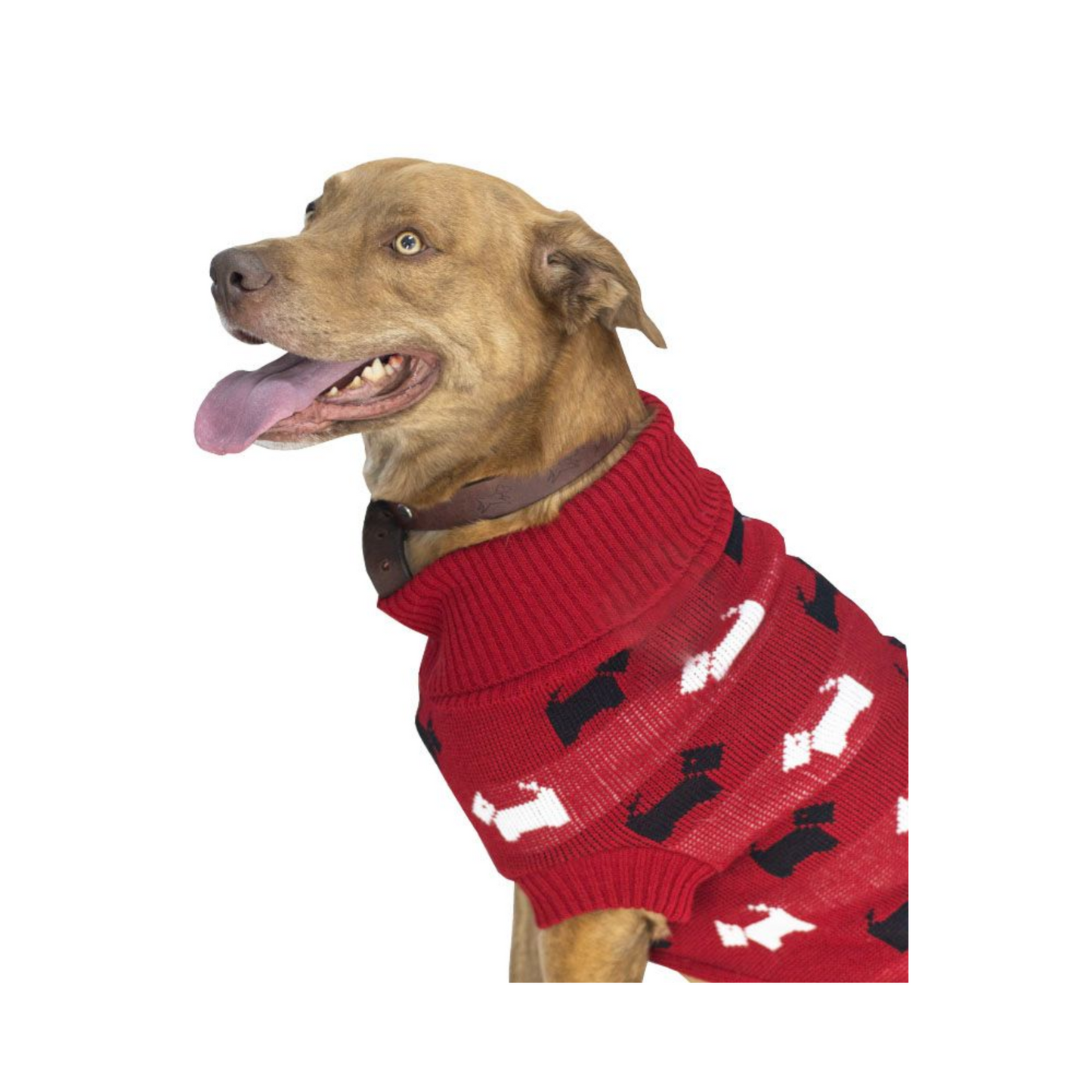 CATM Sueter Ferioni Color Rojo Talla 1