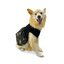CATM Disfraz de Bruja Color Negro con Dorado para Mascota Talla 5