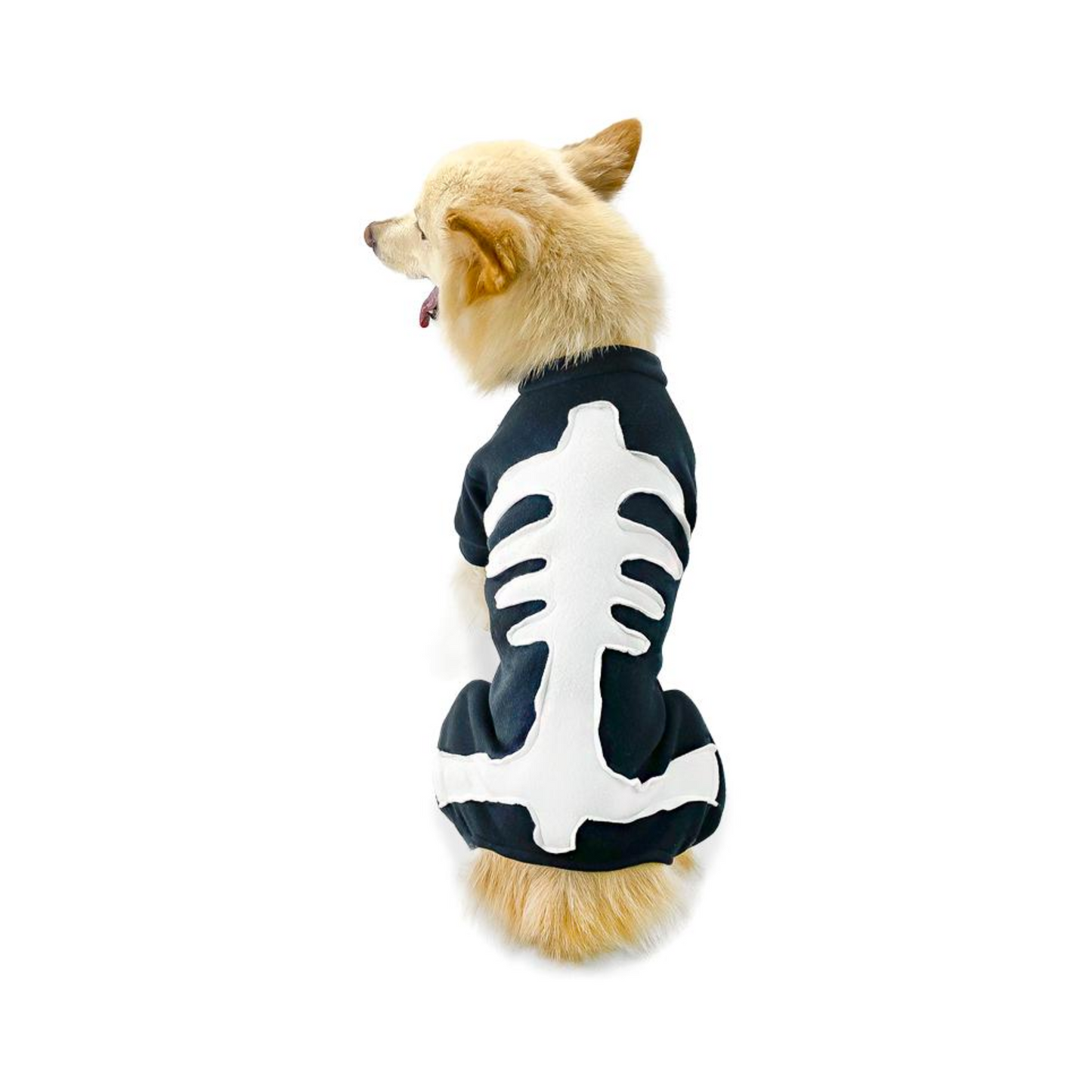 CATM Disfraz de Esqueleto para Mascotas Talla 3