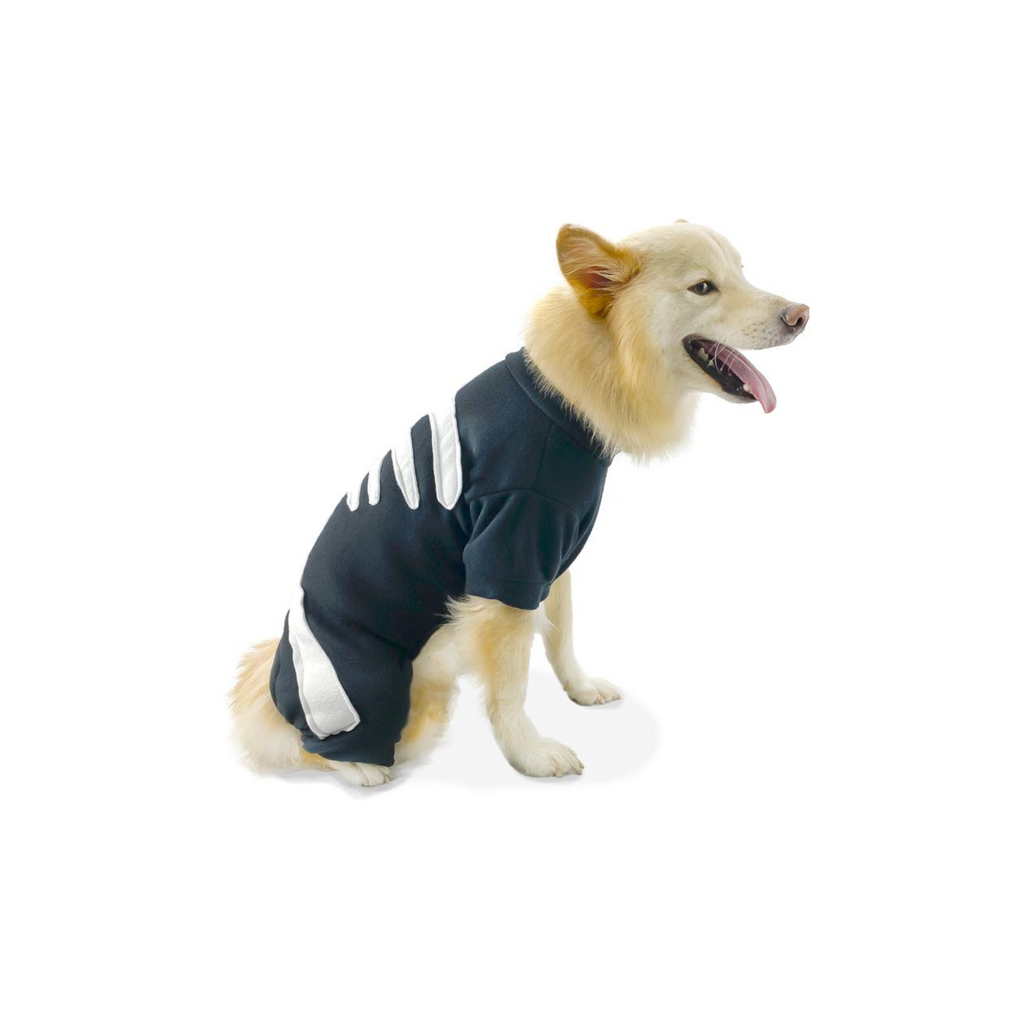 CATM Disfraz de Esqueleto para Mascotas Talla 3