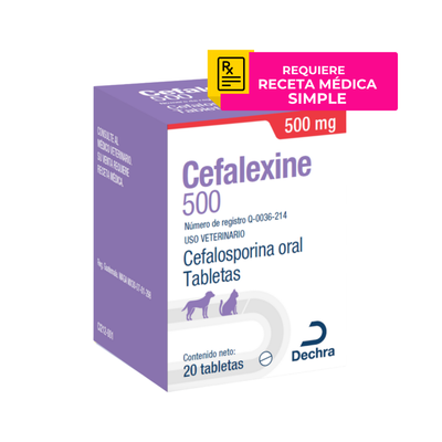 cefalexine