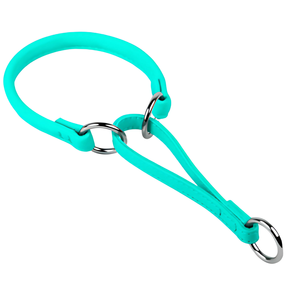 Glamour Collar Martingale Choke Menta Para Perro Talla G