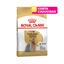 CORTA CADUCIDAD 20/08/2026 Royal Canin Yorkshire Terrier Adulto 1.14kg