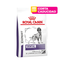 CORTA CADUCIDAD 30/06/2026 Royal Canin Dental Dry Dog 8 Kg