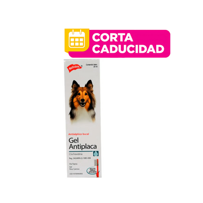 CORTA CADUCIDAD Clorhexidina Gel Antiplaca Gotero Perros y Gatos 20 ml Holliday (Copy)