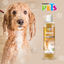 Shampoo para Perro de Pelo Dorado Essentials 250 ml