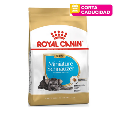 CORTA CADUCIDAD 30/04/2026 Royal Canin Miniature Schnauzer 1.1 Kg