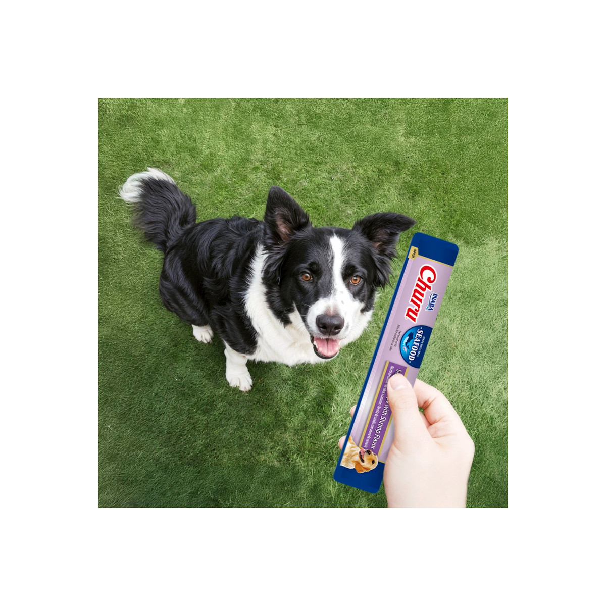 Churu Premio para Perro Sabor Salmón con Camarones Bolsa de 4 Tubos 14 g