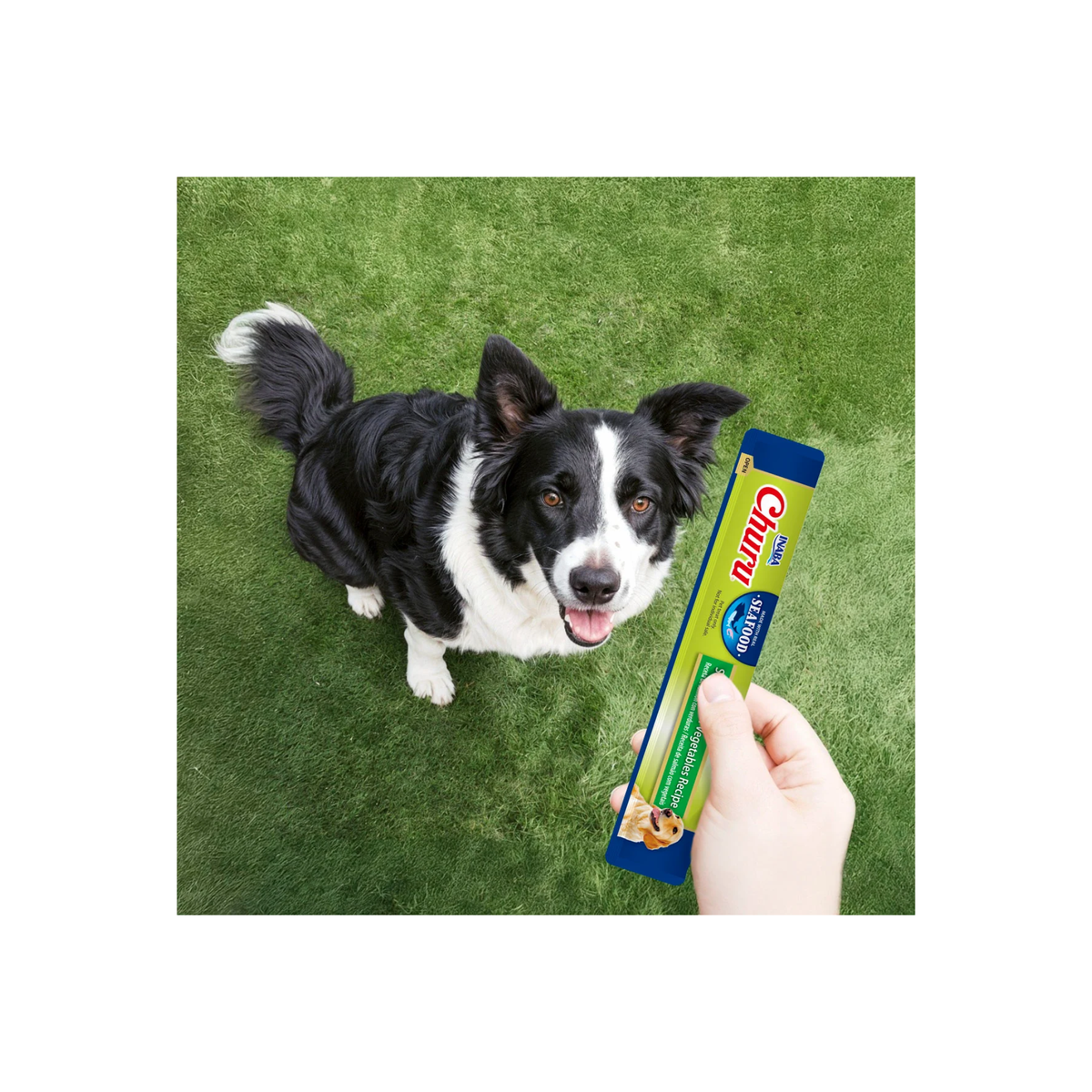 Churu Premio para Perro Sabor Salmón con Vegetales Bolsa de 4 Tubos 14 g
