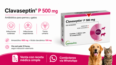 Clavaseptin