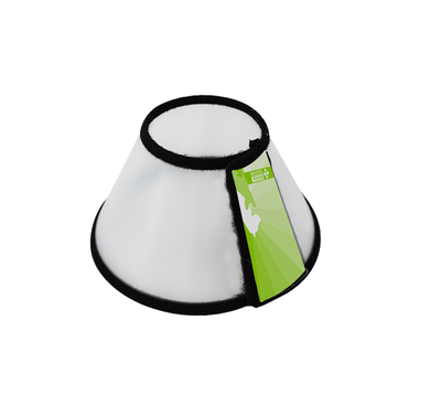 Collar Isabelino Gato 