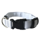 Collar de led para perro