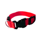 Collar de led para perro Elite Liso Rojo Extra Chico